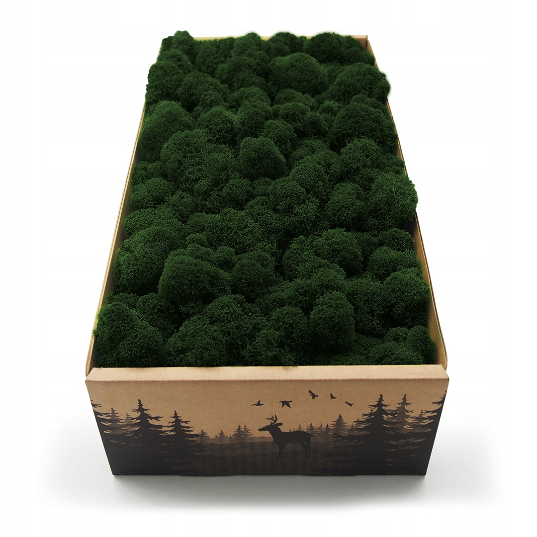 Mech chrobotek fiński 500g netto ciemny zielony