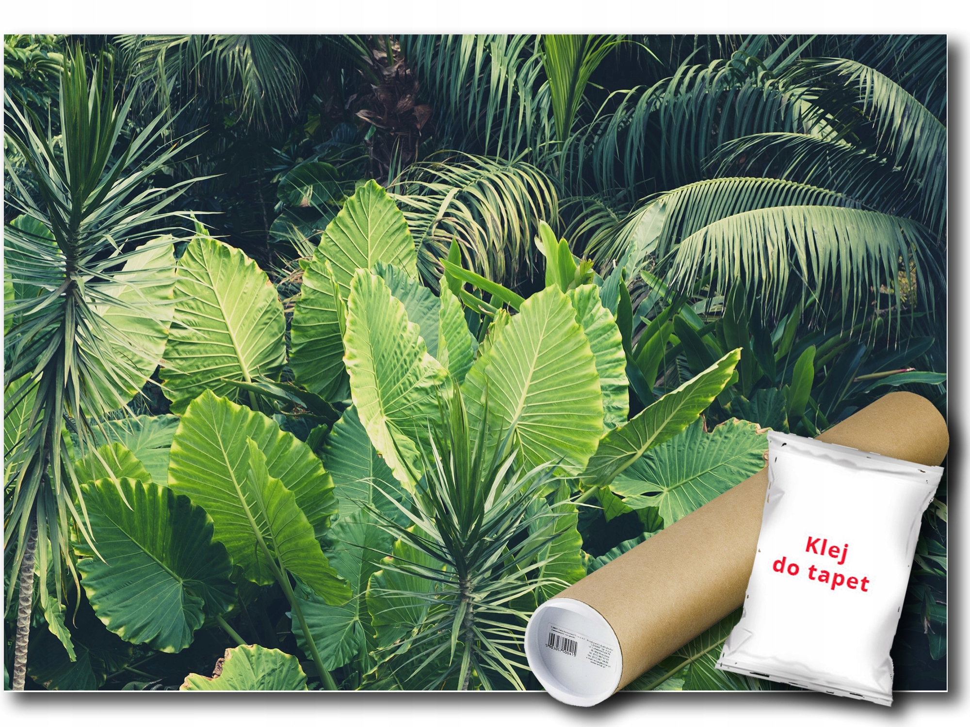 Fototapeta Flizelina Príroda Džungľa Les Listy 350x250 lepidlo zdarma