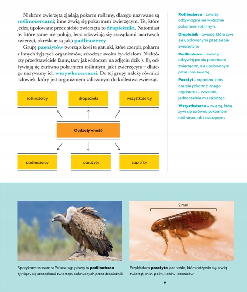 Biologia Podręcznik Klasa 6 MAC Edukacja Język publikacji polski