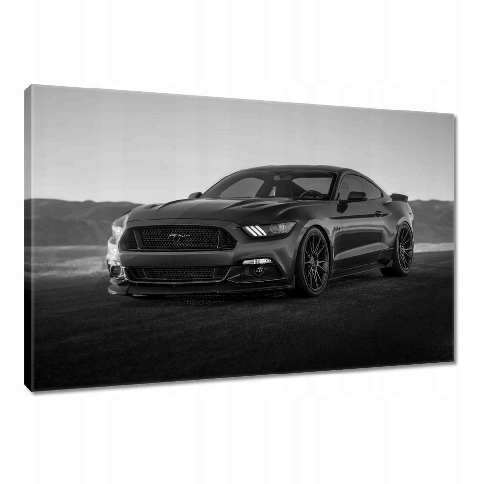 

Obrazy 60x40 Ford Mustang Samochód
