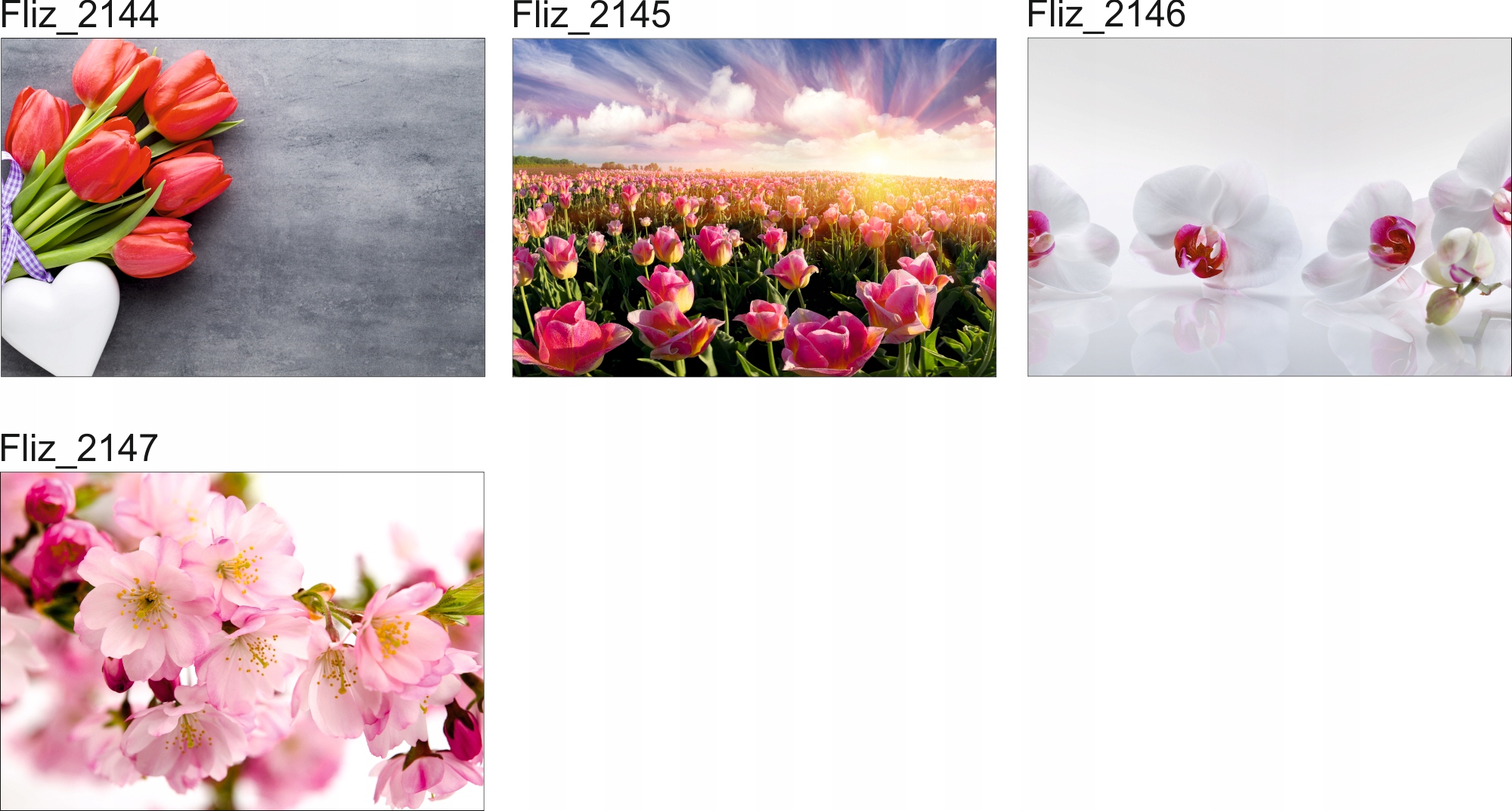 FOTOTAPETA KWIATY POLANA ŁĄKA 3D Kod producenta Fototapety agmART