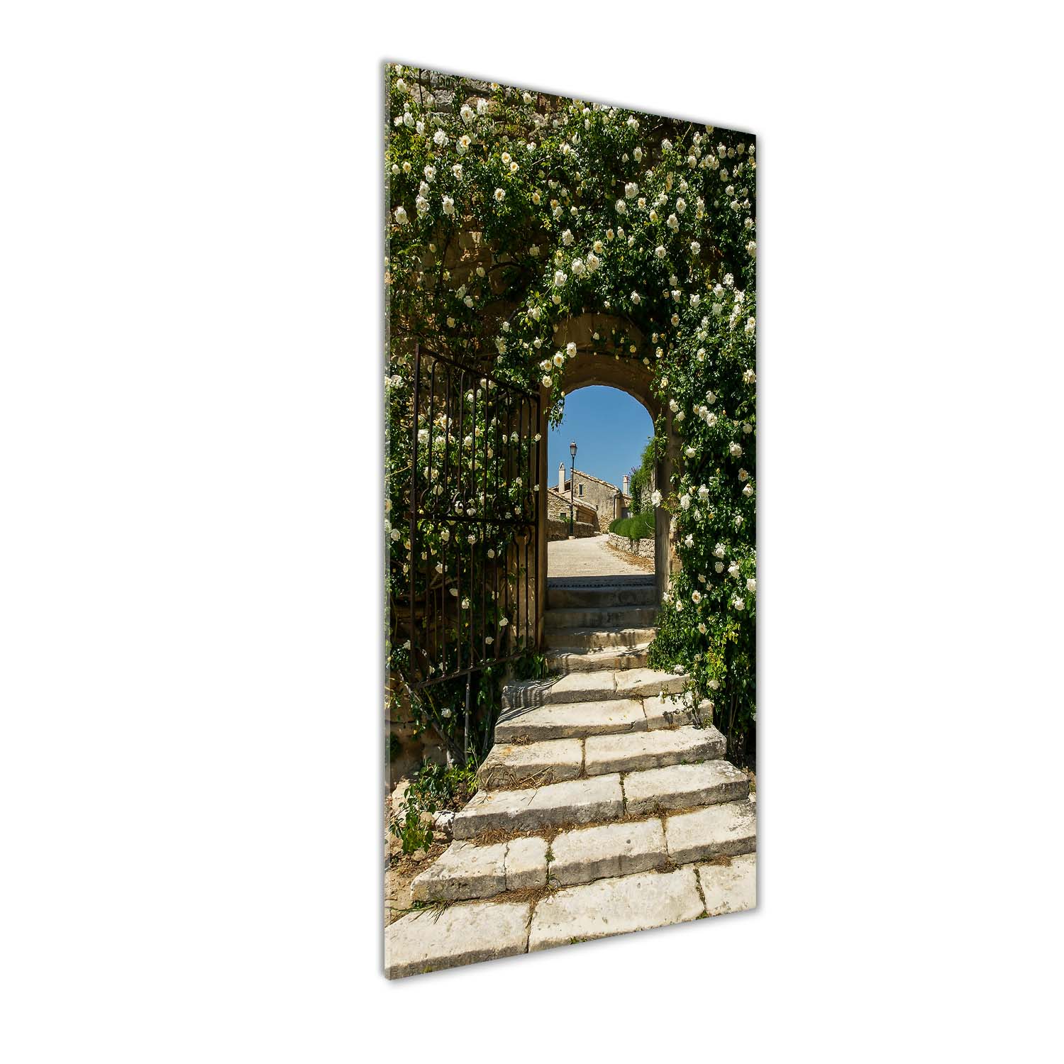 Fotoobraz tvrzené sklo Květinový oblouk 50x125 cm
