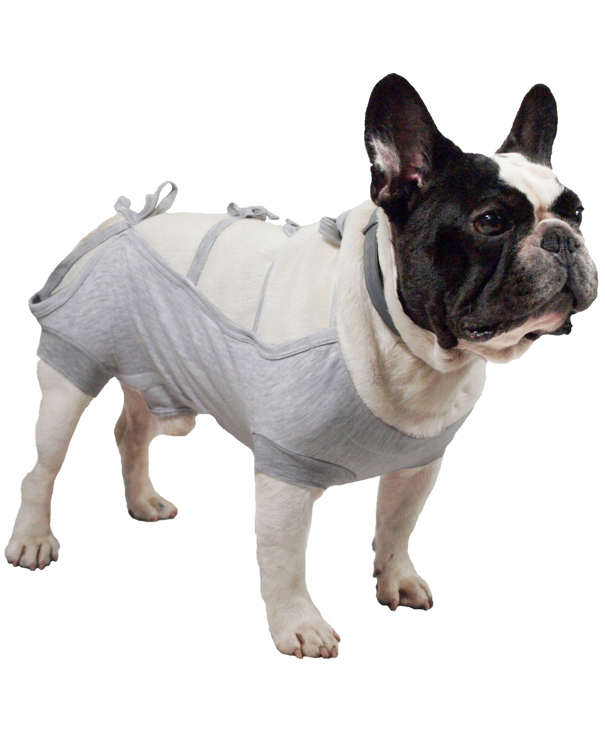 

Koszulka pooperacyjna szara dla Psa r.5 XL 51 cm