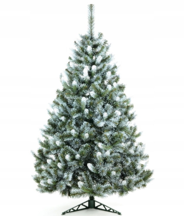

Choinka Sosna Syberyjska Anna Białe Końce 120 CM