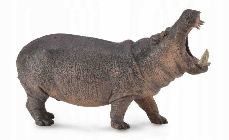 

Hipopotam Hippopotamus CollectA 88833 XL