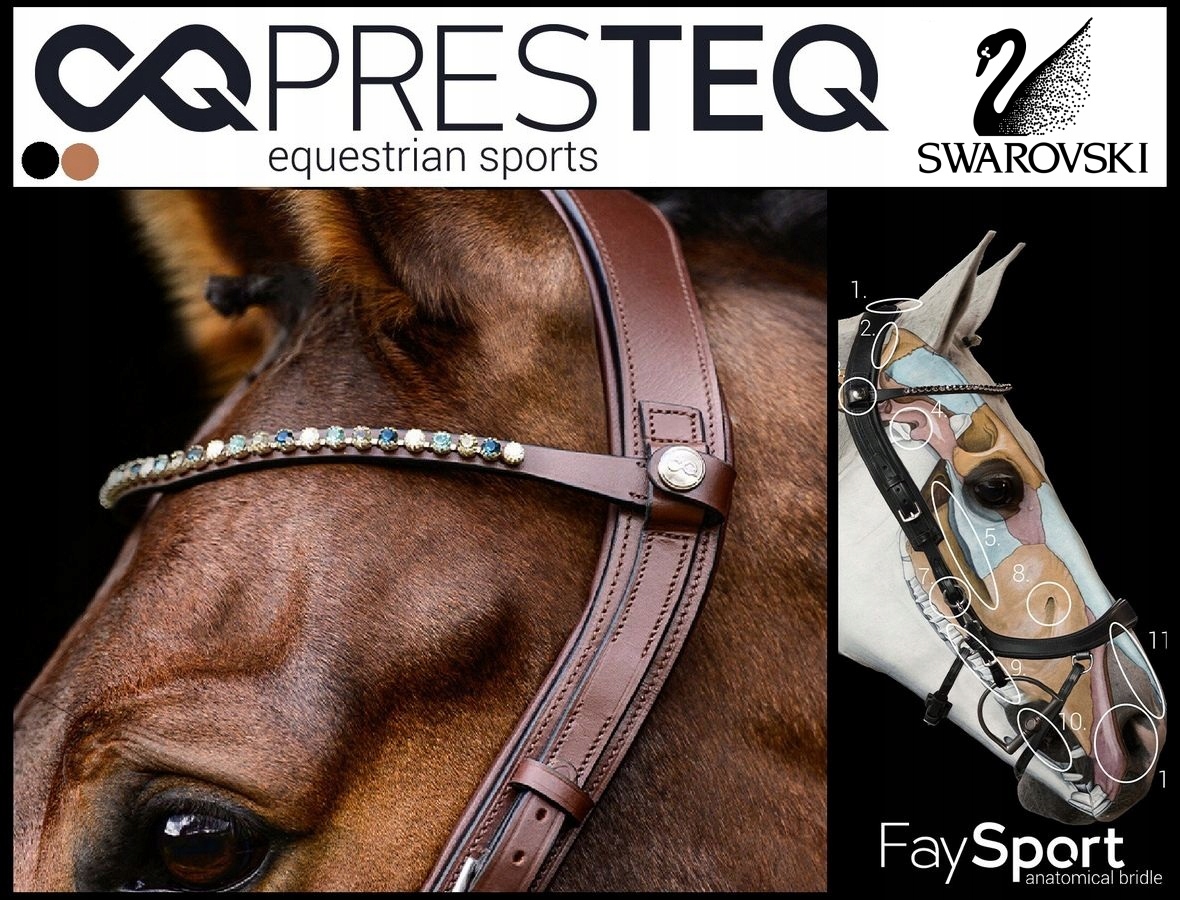 Naczółek ShineBright PressTEQ FaySport anatomica brown/Steelblue Full