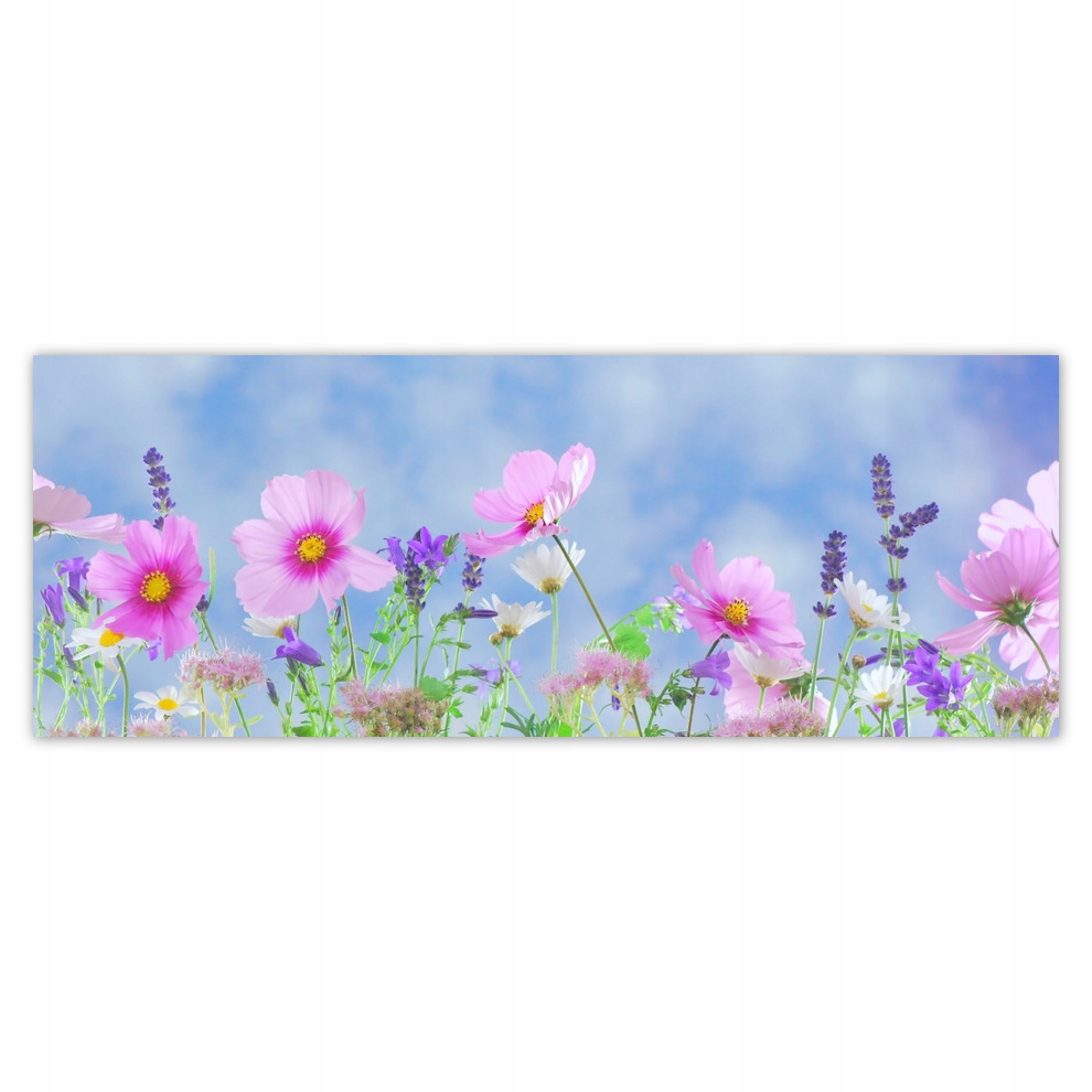 

Fototapety flizelina 250x93 Delikatne kwiatki