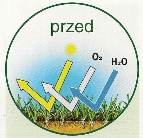 GARDENA 3391 Aerator Wertykulator do trawy na trzonek CombiSystem Waga produktu z opakowaniem jednostkowym 5 kg