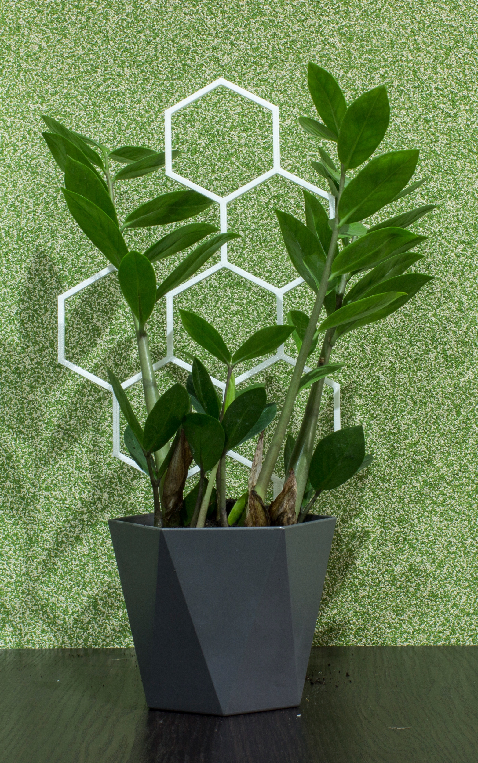 PODPÓRKA KWIATÓW ROŚLIN DRABINKA PERGOLA MIÓD Kod producenta hex37w