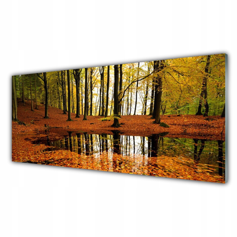 

Fotoobraz akryl wiszący 125x50 Las Natura Drzewa