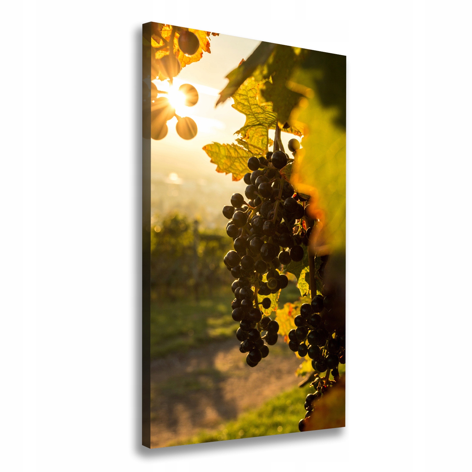 

Nowoczesny obraz canvas na ramie Winnica 70x140 cm