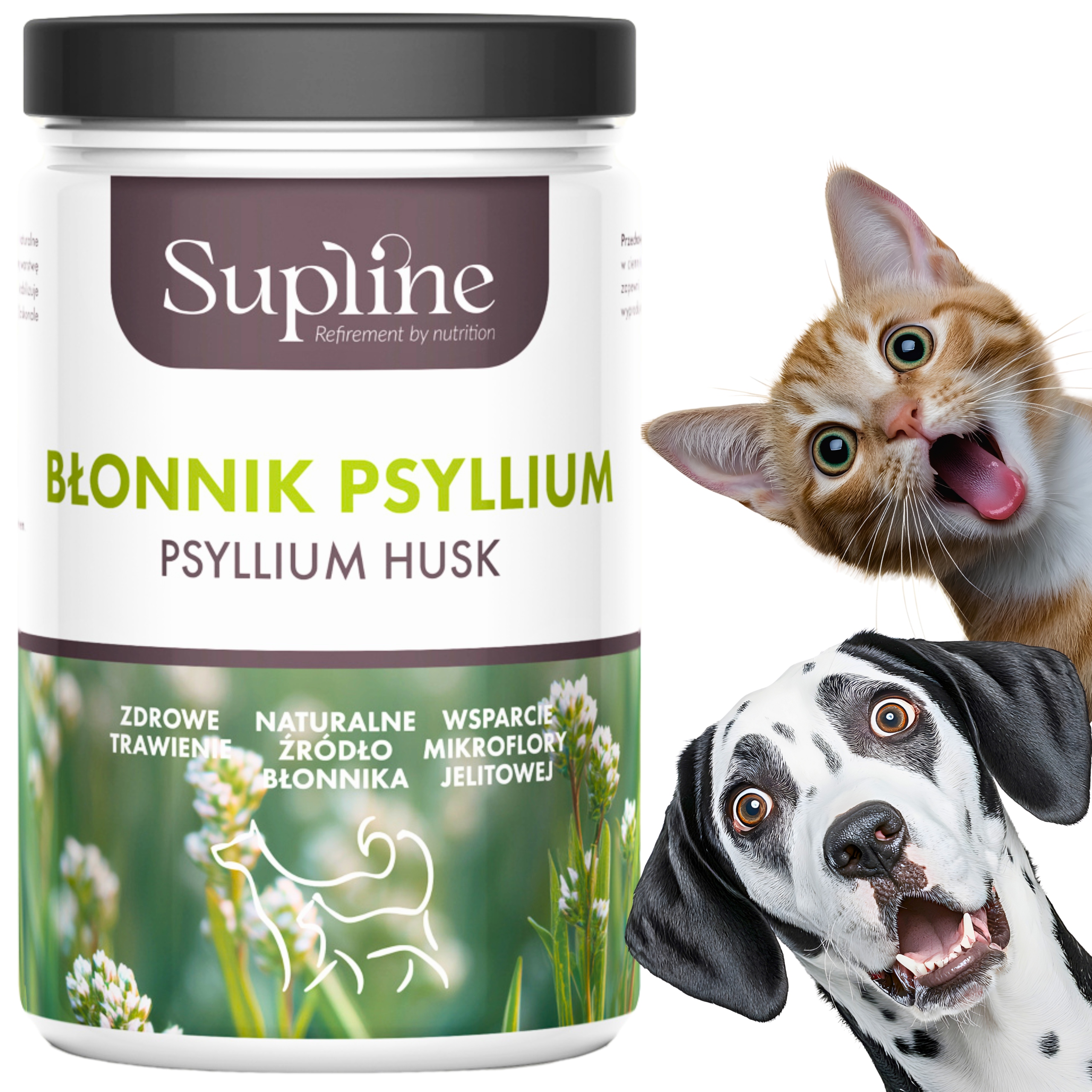 Levně Doplňky stravy pro psa a kočku Vláknina Psyllium Trávení střeva 200 g