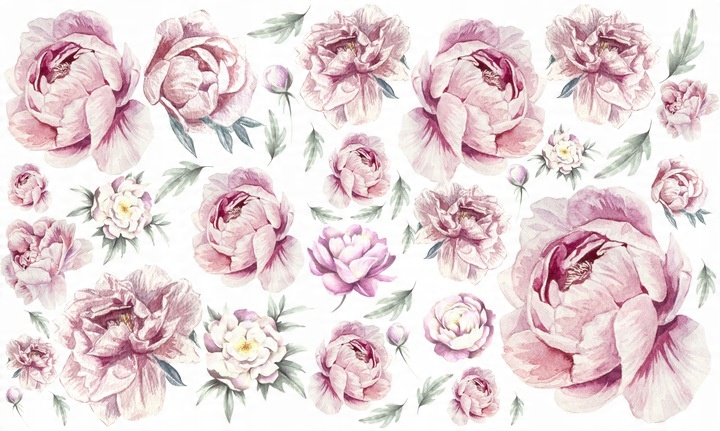 

Piwonie kwiaty Peonie Naklejki na ścianę 200x120