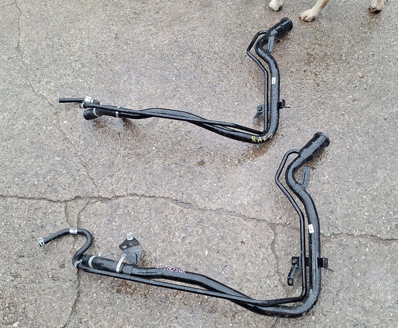 WLEW RURA PALIWA RENAULT RAFALE 172214996R