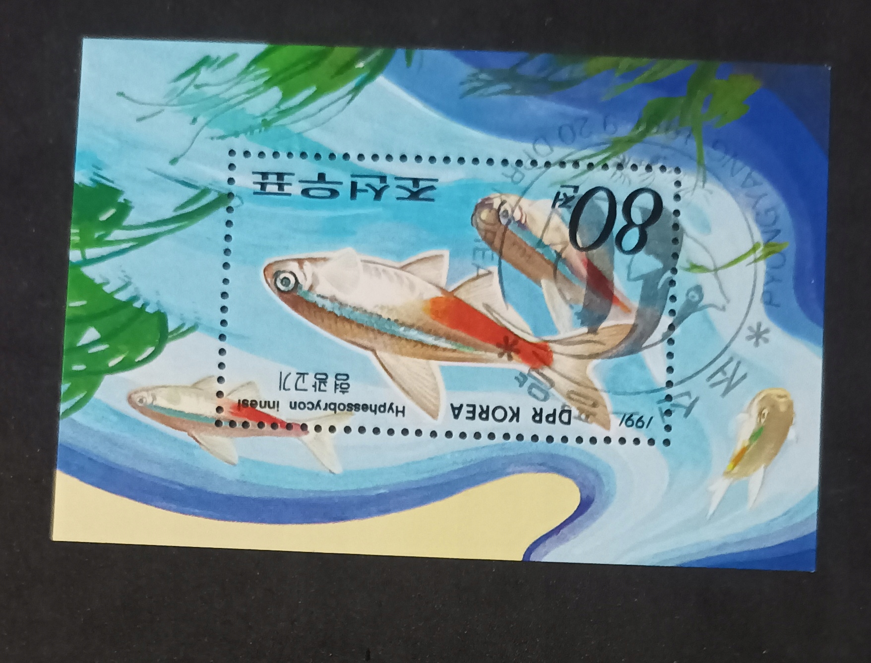 Korea F1862 Ryby kasowane.