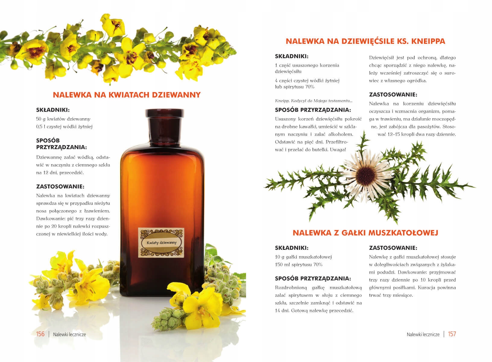 ATLAS NALEWEK POLSKICH PRZEPISY Szydłowska SBM 884 Tytuł Atlas nalewek polskich