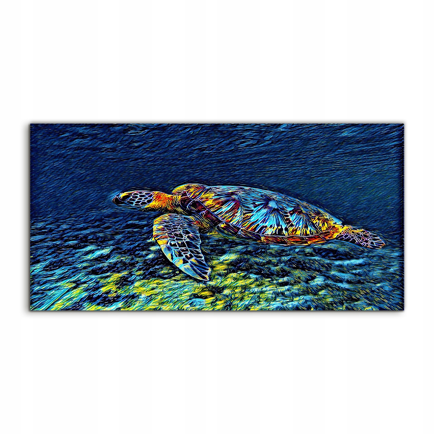 

Foto-obraz na płótnie Morze Żółw Zwierzę 140x70 cm