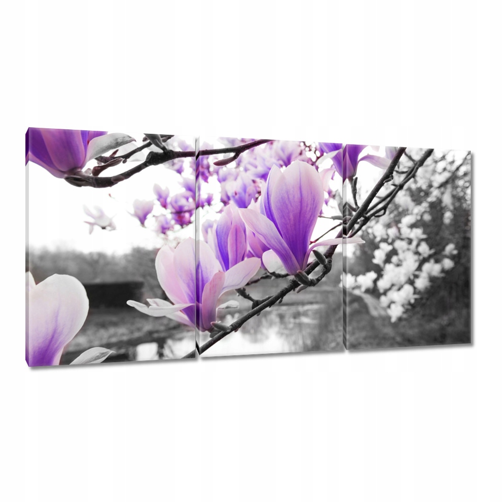 

Obrazy 120x60 Magnolia Kwiatki Kwiaty