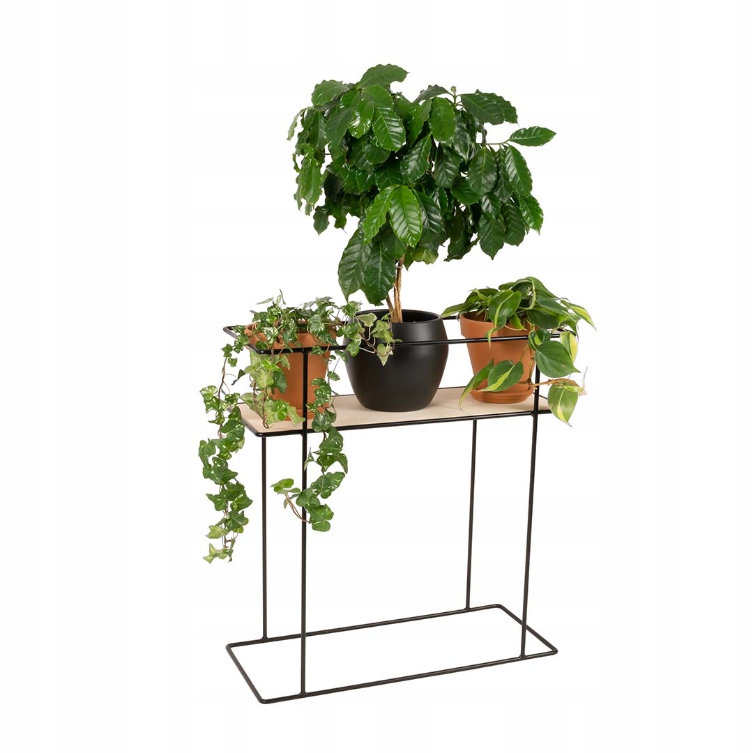 Držiak Na Kvetináč Aloe vera, kovový stojan do obývačky s drevom, čierny, výška 63 cm