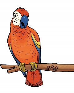 BIBLIA TYSIĄCLECIA DLA MŁODYCH PIERWSZA KOMUNIA Rok wydania 2017