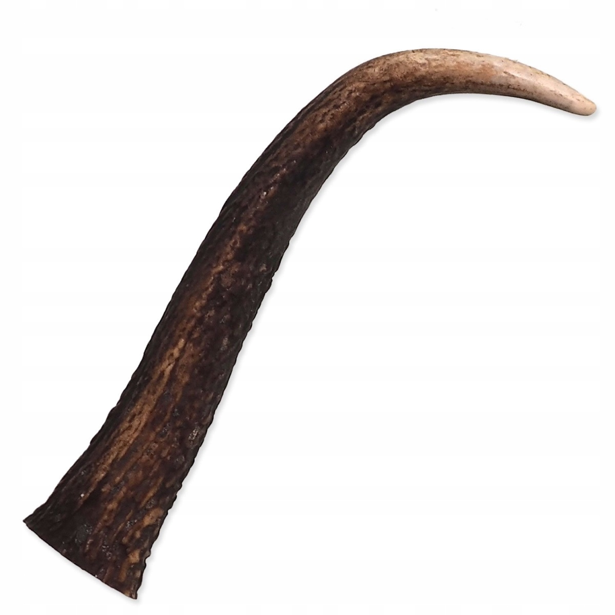 Levně Paroh jelení pamlsek XL 1 ks