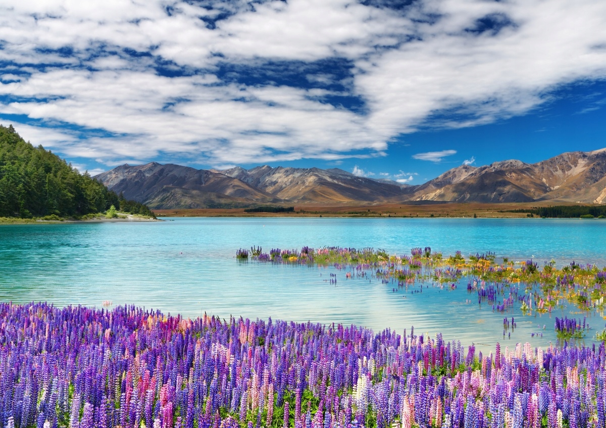 

Tapeta flizelinowa Jezioro NowaZelandia - 312x219