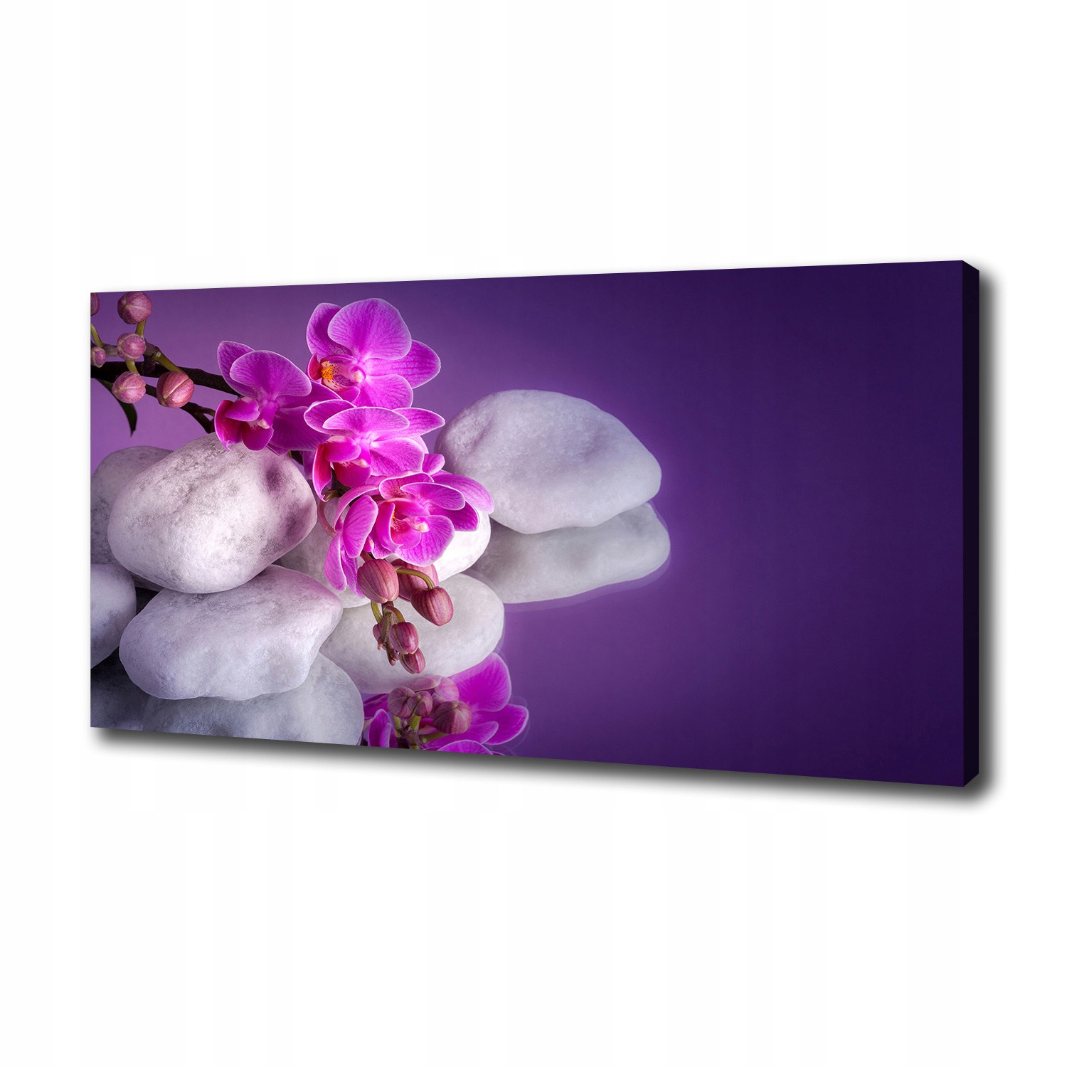 Foto obraz canvas Orchidej na zeď 125x50 cm