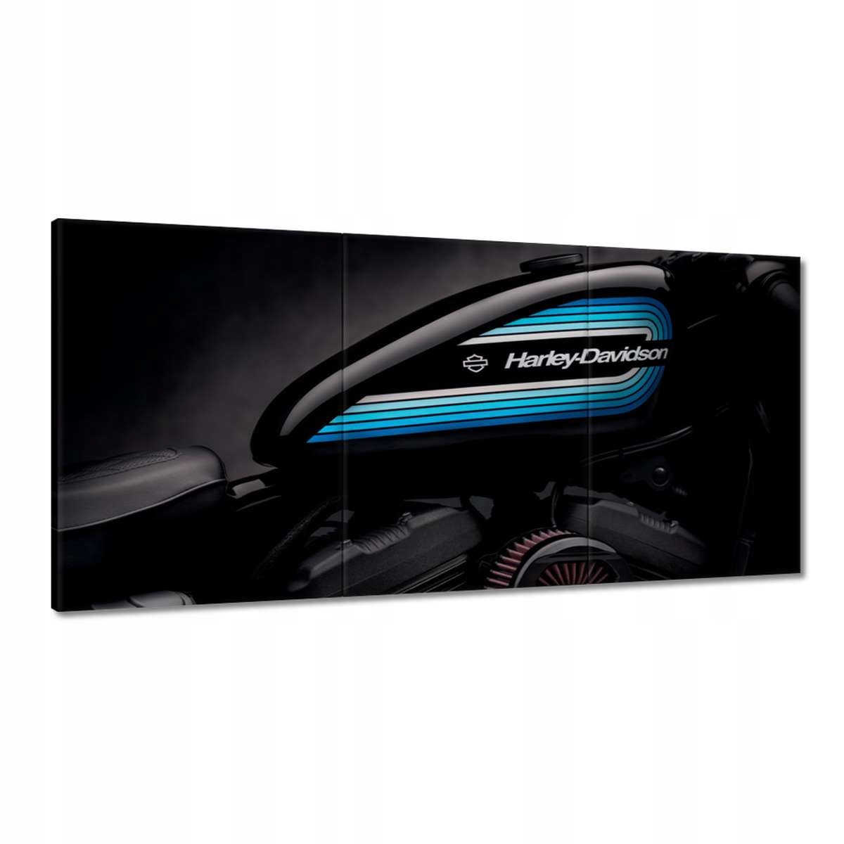 Obrazy 180x90 Harley Davidson Motocykel