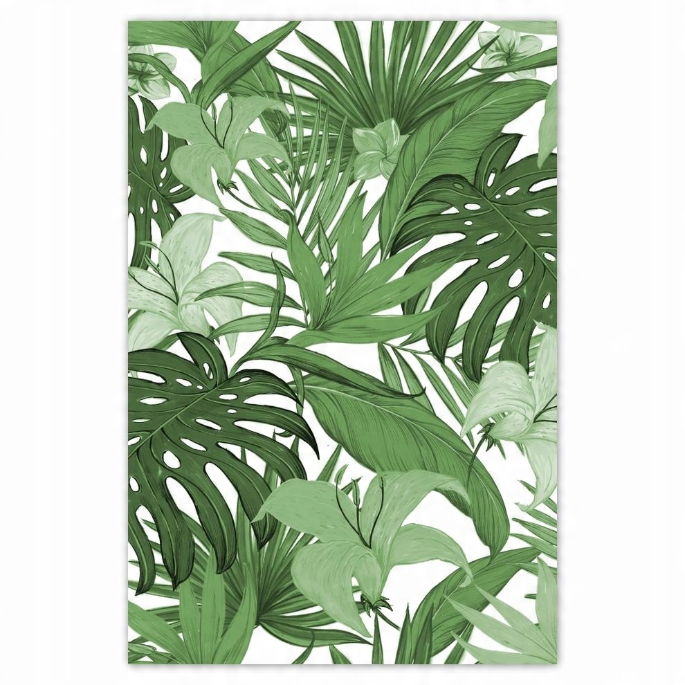 

Plakaty 40x60 Monstera Nowoczesny wzór