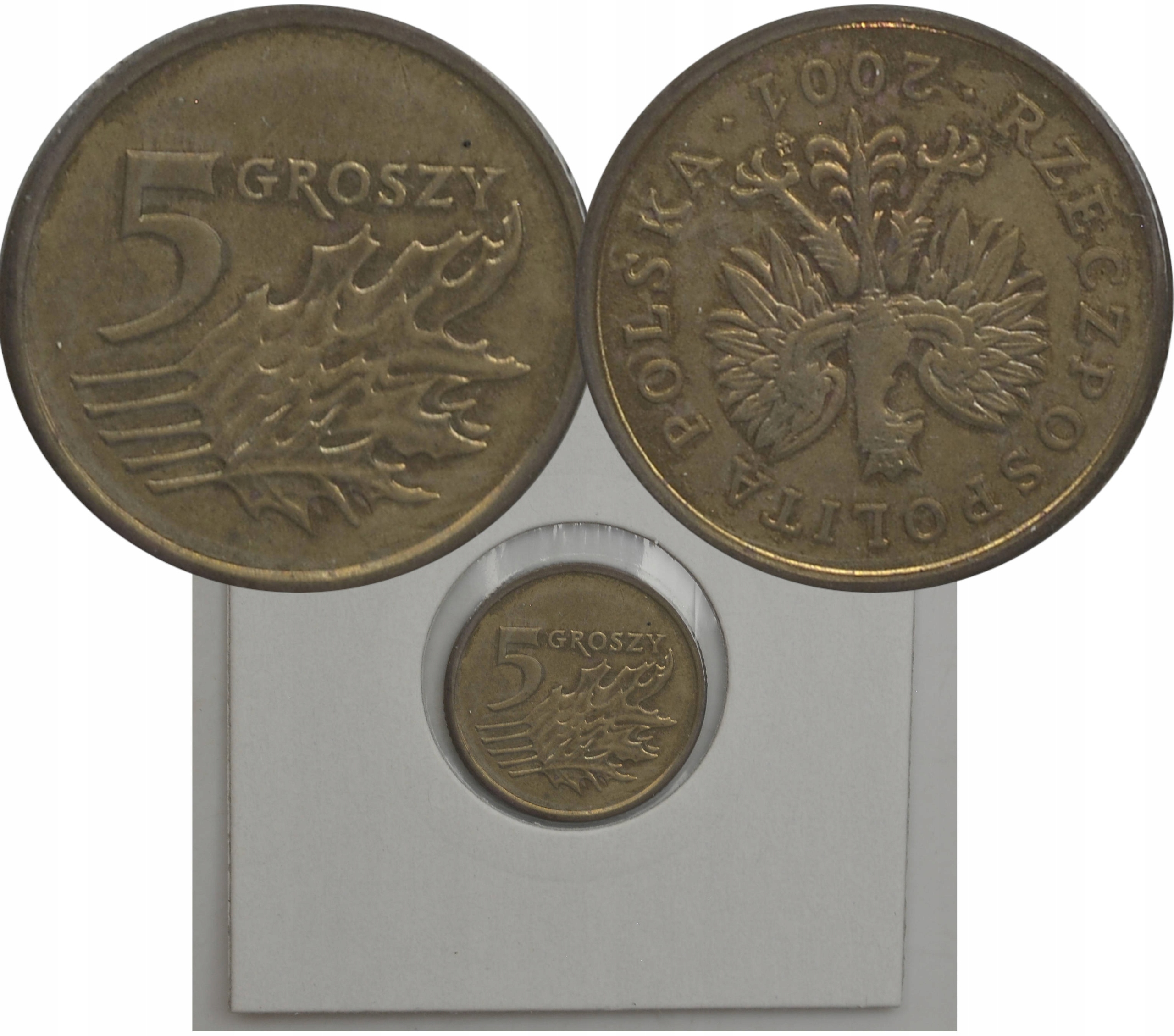 6.fy.III RP, 5 GROSZY 2001 odwrotka