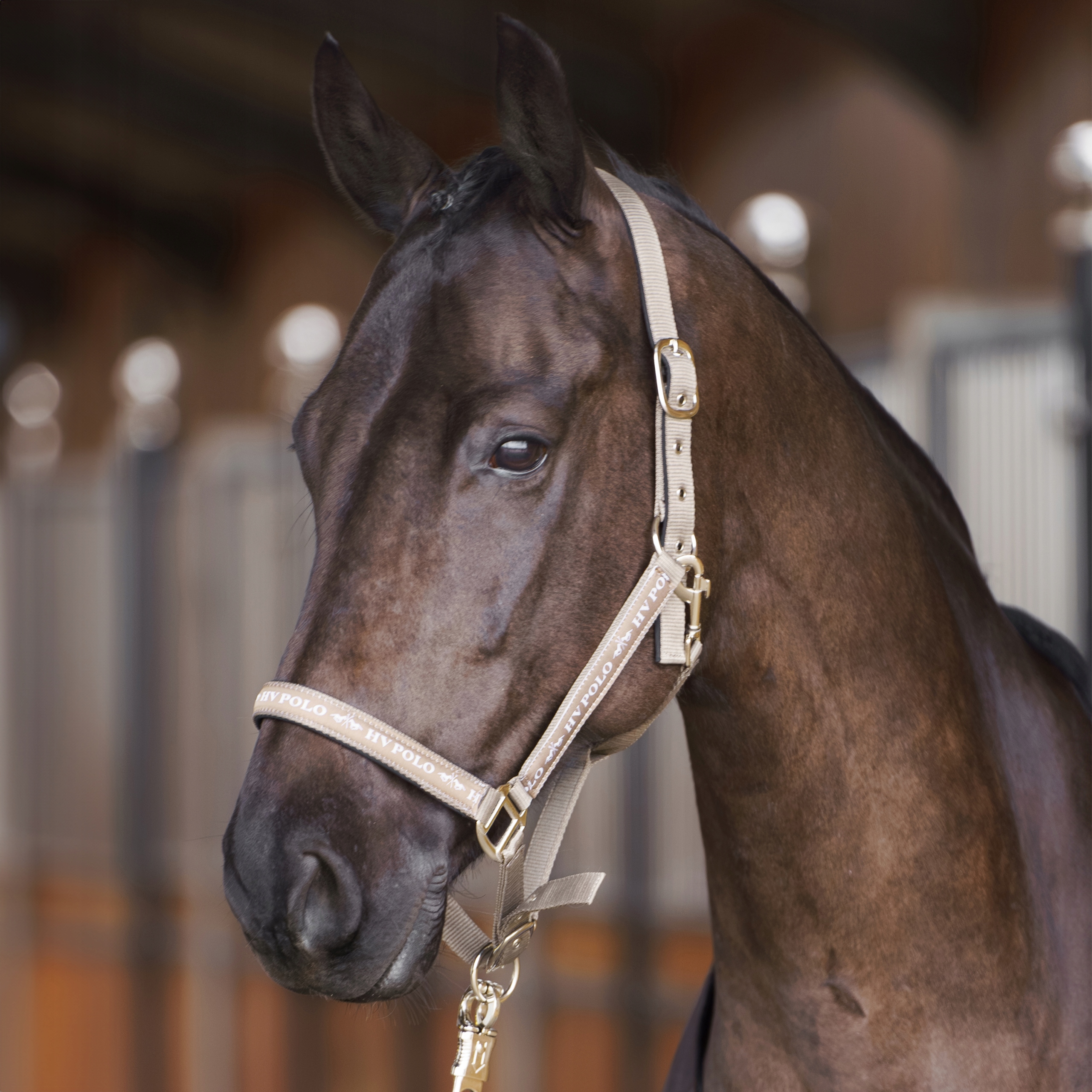 Hv Polo Kantar Nena Pebble Pony