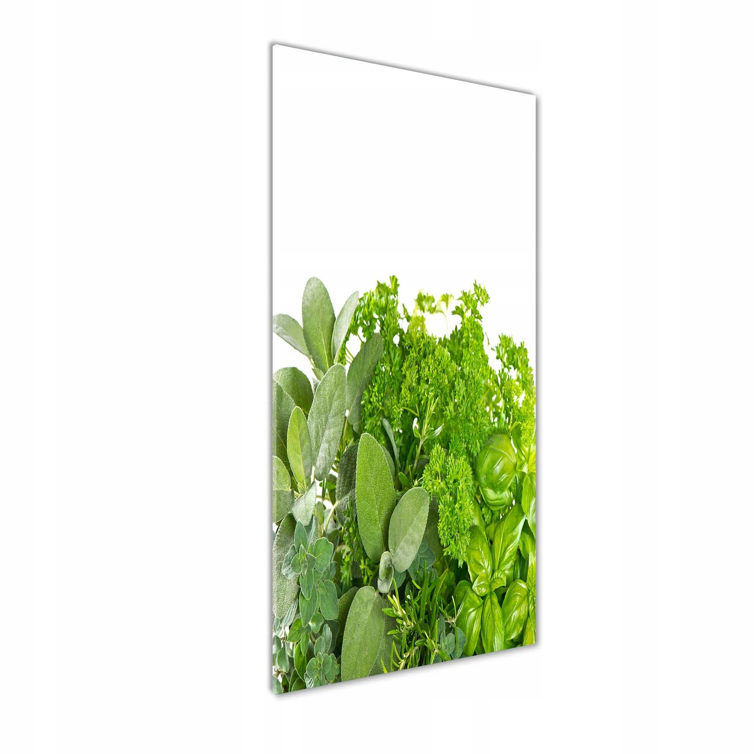 

Nowoczesny foto-obraz akryl na ścianę Zioła 50x125