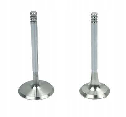 Комплект клапанів головки B18148