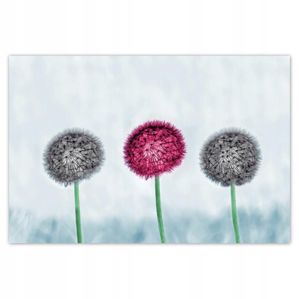 

Plakaty 60x40 Szare z fioletowym