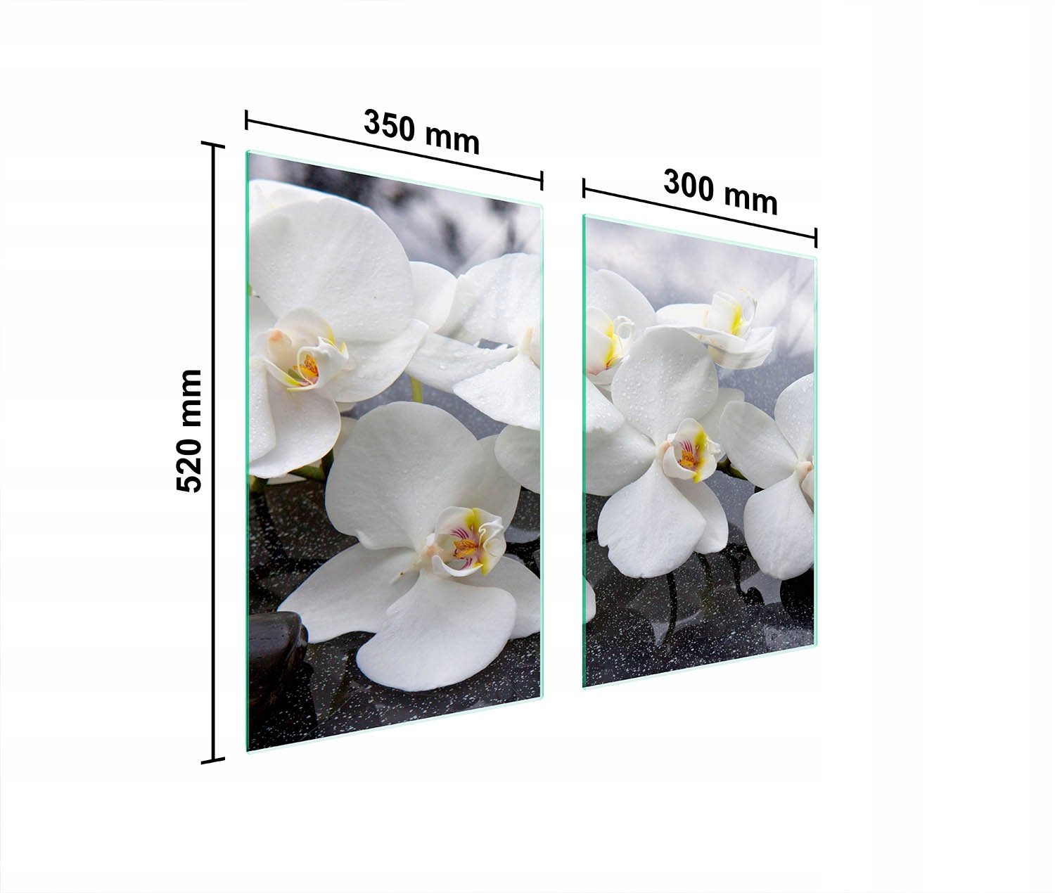 Ochranná Skleněná Deska Do Kuchyně 65x52 Orchidej