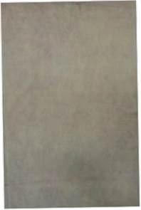 Rodzina Mianowskich - inny