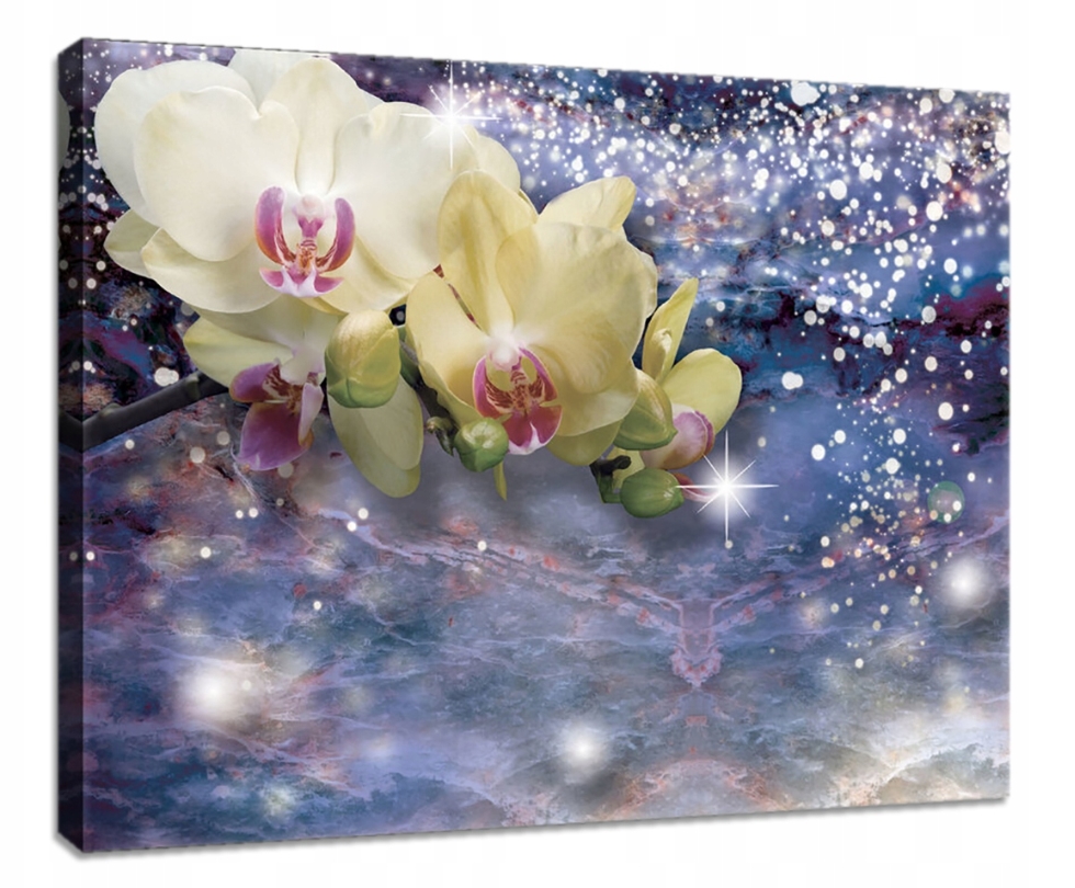 Obraz 100x75 Orchidej květina jemnost elegance fialová bílá růžová