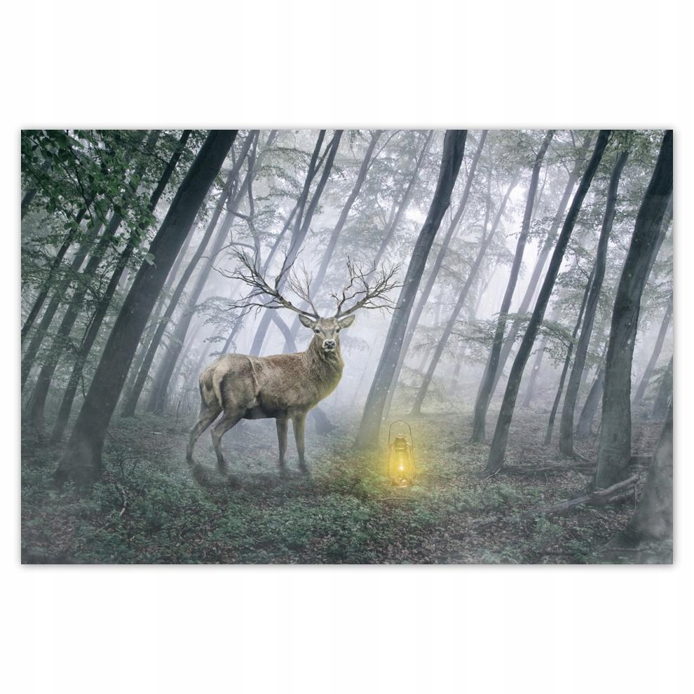 

Plakat 93x62 Jeleń w lesie