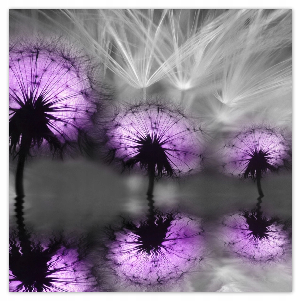 

Fototapety flizelina 208x208 Odbicie w wodzie