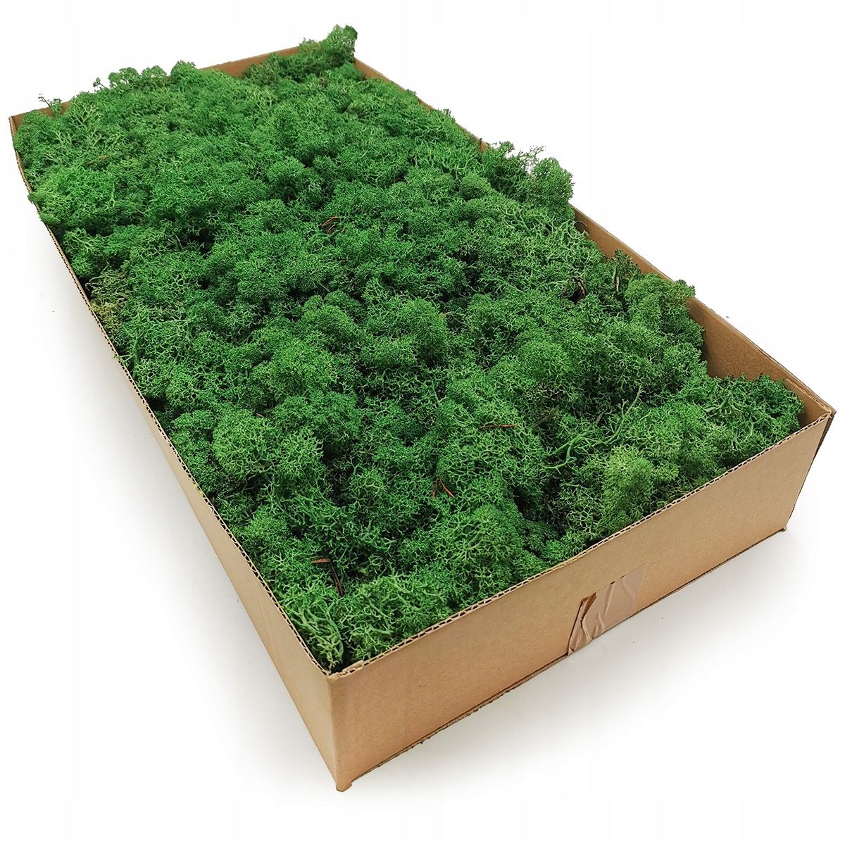 

500g Mech Chrobotek reniferowy zielony Norweski