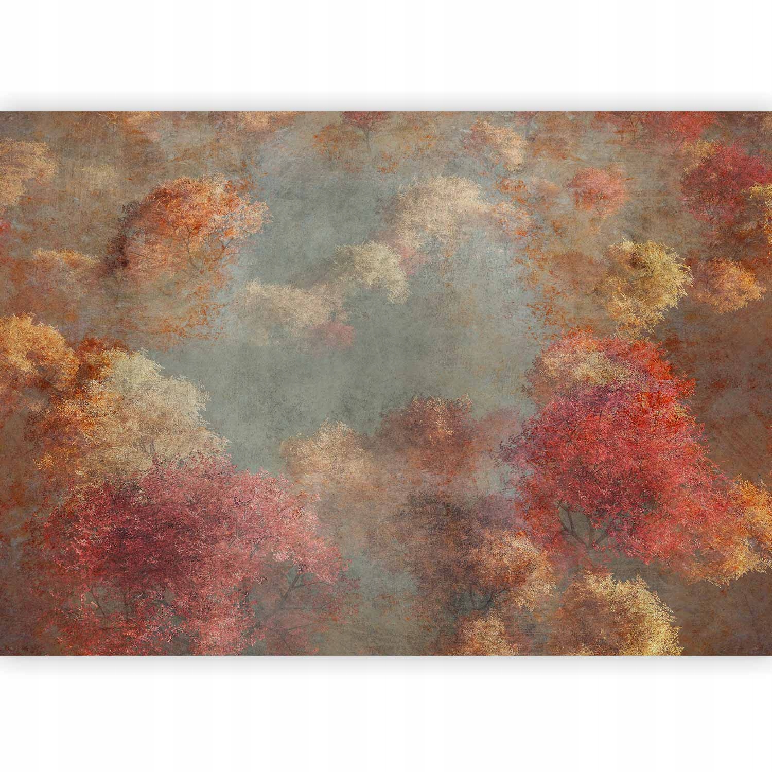 Fototapeta Samoprzylepna Jesienna Abstrakcja Chmury Do Salonu Mural 490x350