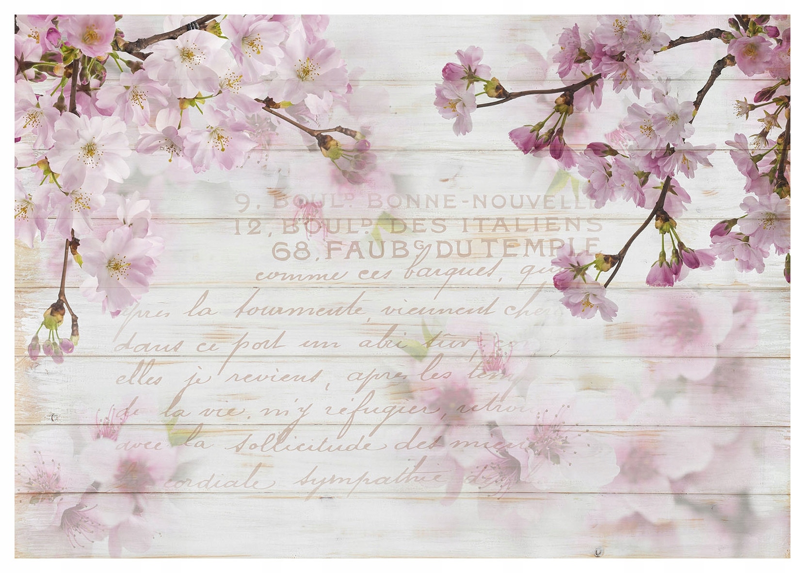 Fototapeta Kvetoucí višeň a sakura na vintage dřevě 368x280 lepidlo