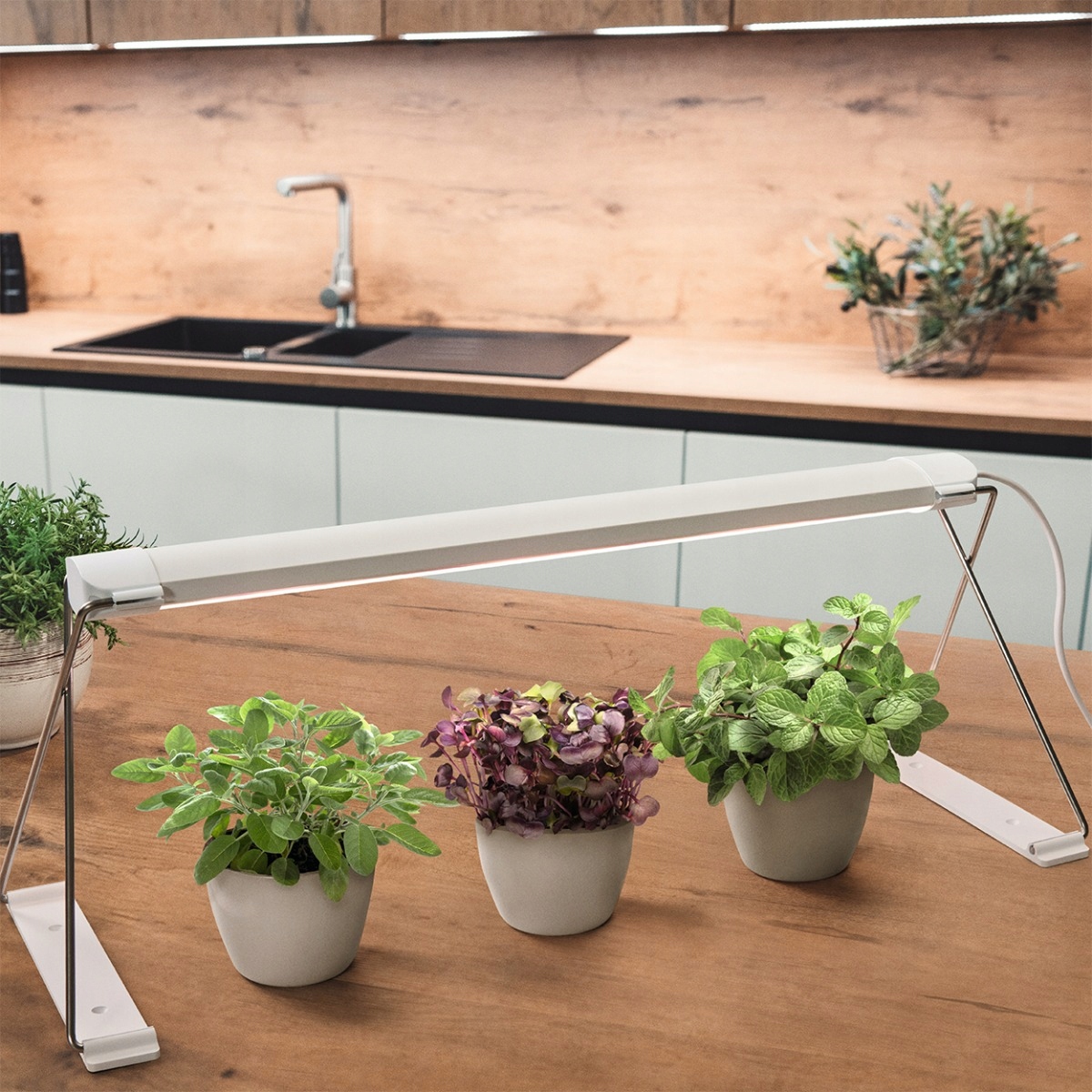 LAMPA OPRAWA DO WZROSTU UPRAW ROŚLIN LED LEDVANCE Kod producenta 4058075576193