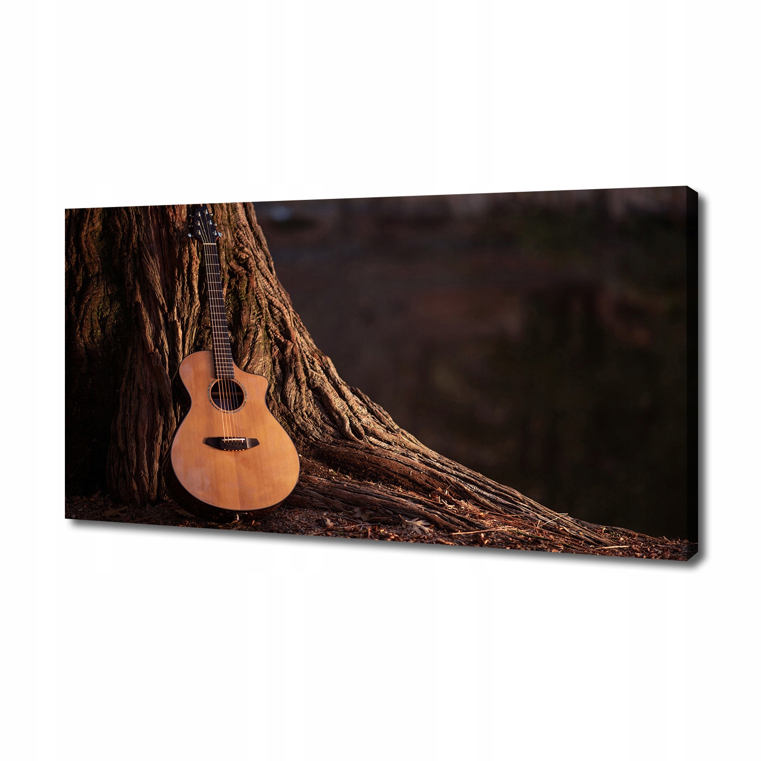 

Foto obraz na płótnie Gitara akustyczna 140x70 cm