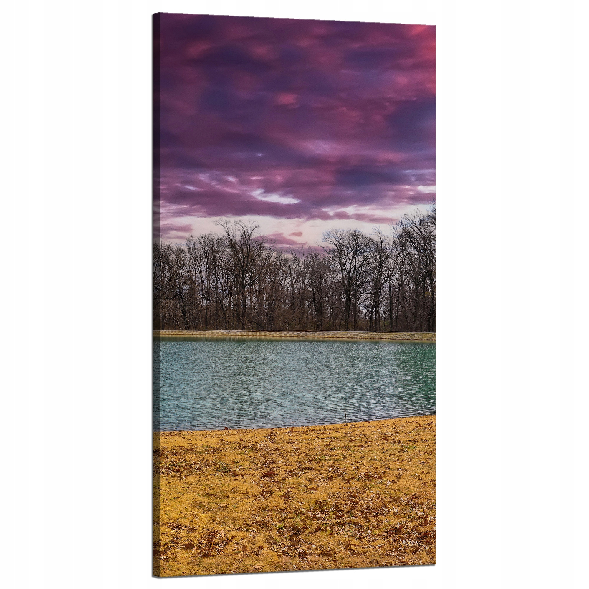 Obraz na plátně Fialové nebe Rybník Stromy Podzim 60x120 cm