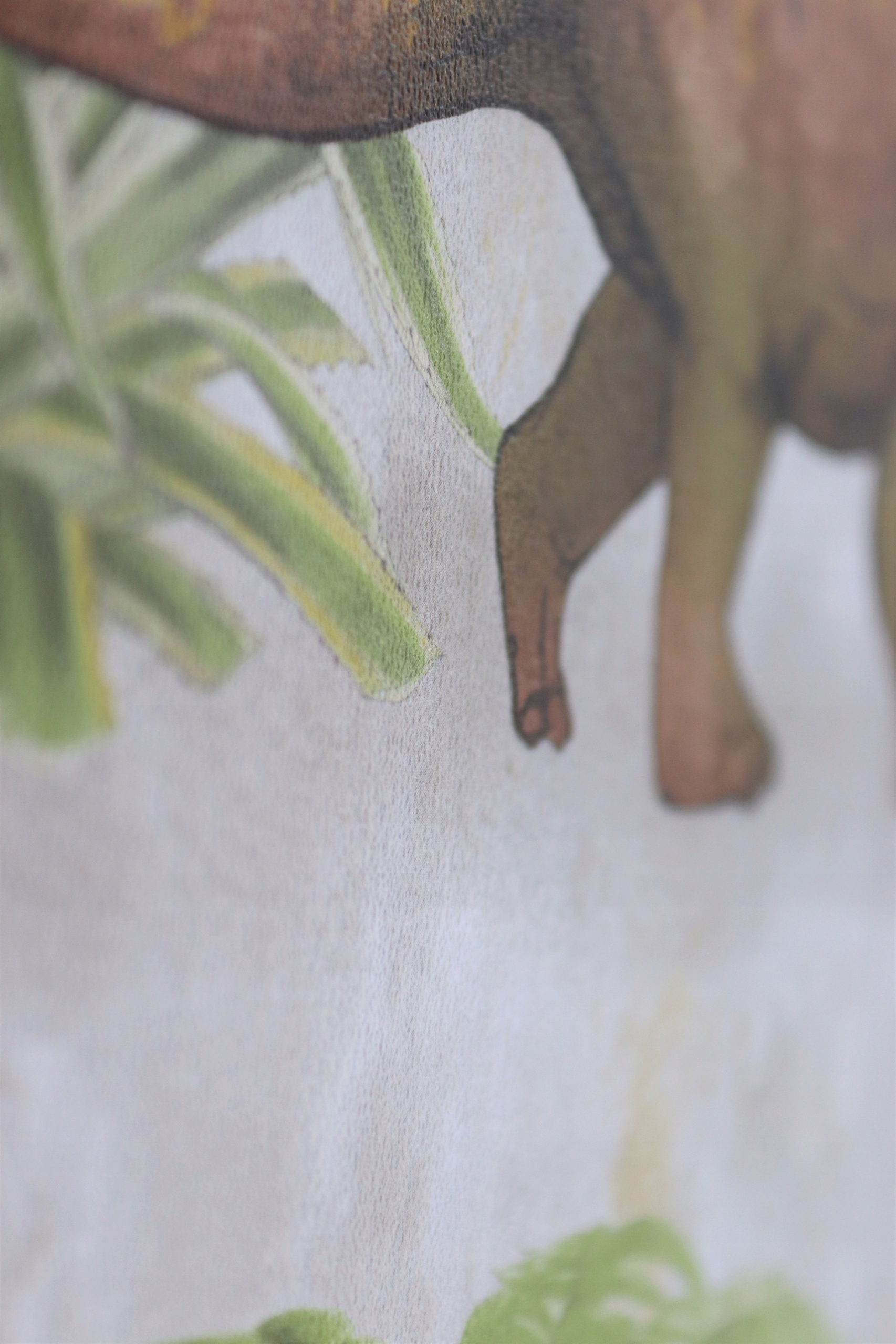 Tapeta papierowa dziecięca dla chłopca dinozaury Marka Rasch