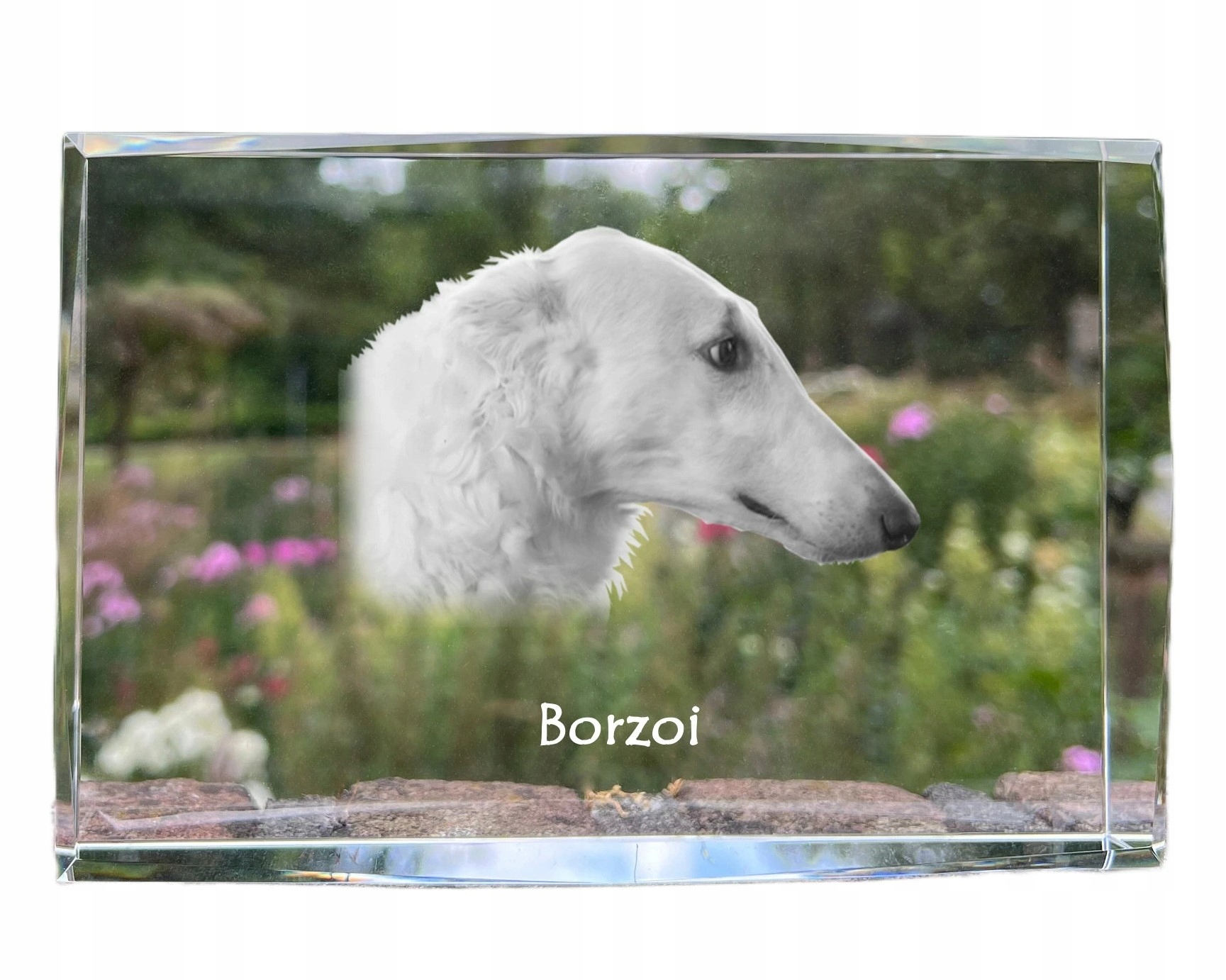 Chart rosyjski borzoj, Borzoi, Barzoi kryształ ze zdjęciem psa, zdjęcie w