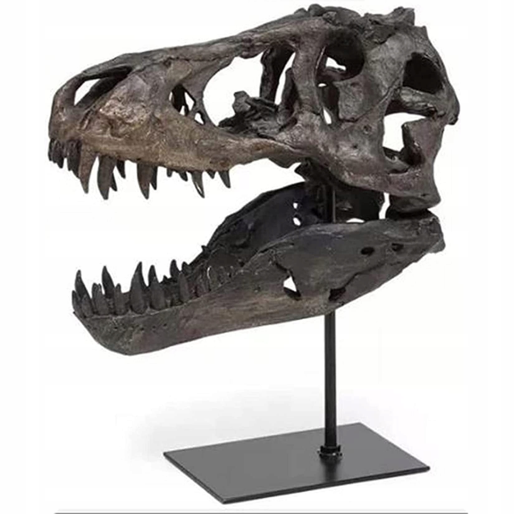 3D Drak Pryskyřice 30,5*24*14 CM Figurka Černá