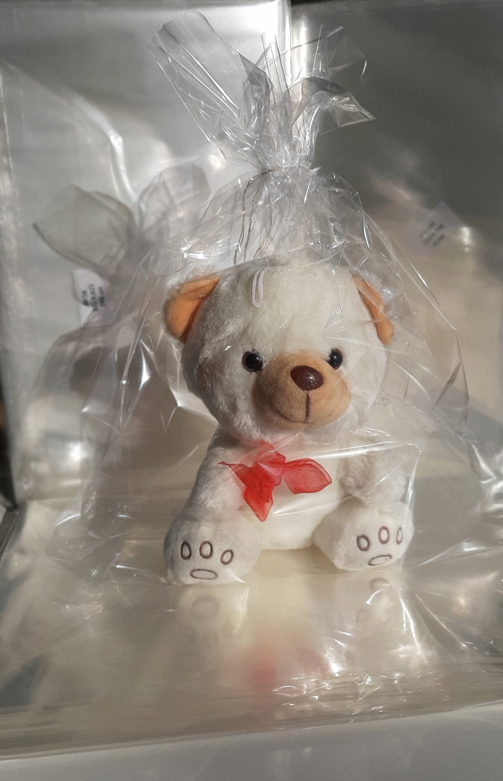 Woreczki Folia celofanowa 30cm x 40 cm 100 sztu Długość 40 cm