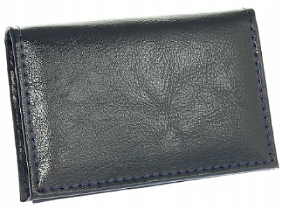 WIZYTOWNIK ETUI SKÓRA SKÓRZANY KARTY 6 KOLORY PL Model 2024